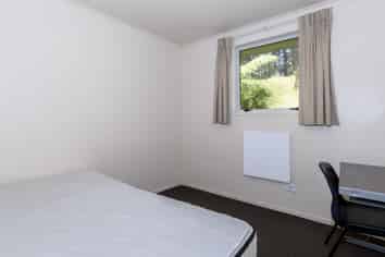 42 A,C,D,E Olivine Street, Poike