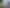 42 A,C,D,E Olivine Street, Poike