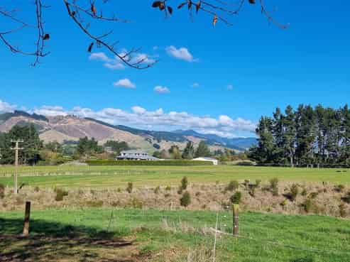 37 and 39 Tavistock Road, Koputaroa