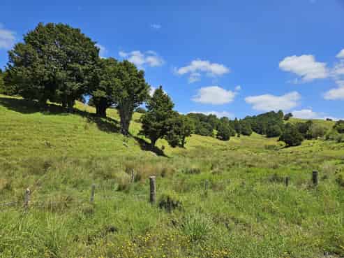 880 Kirikopuni Valley Road, Tangiteroria