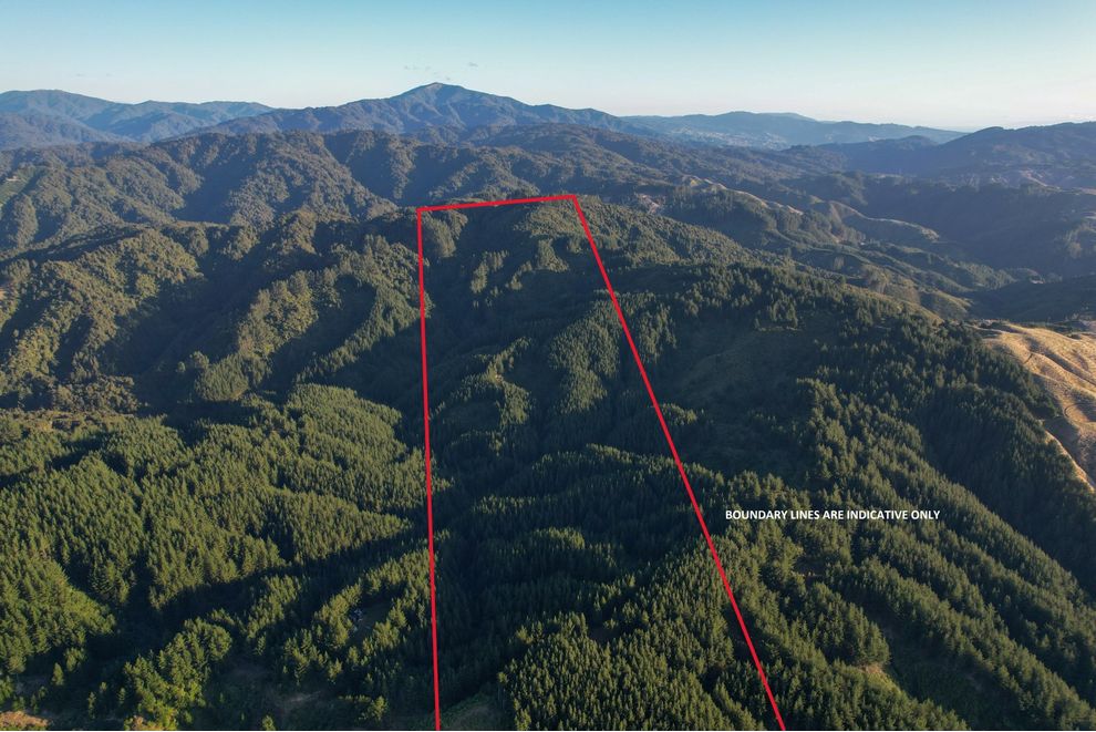 818 Otaki Road, Te Horo, Kapiti Coast For Sale realestate.co.nz