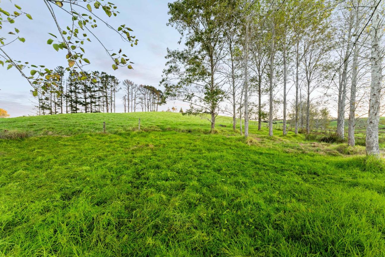 The Country Life Is Calling! (Geotech available) - Widok 5