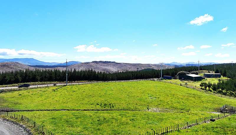 Lot 6 Babylon Coast Road, Dargaville