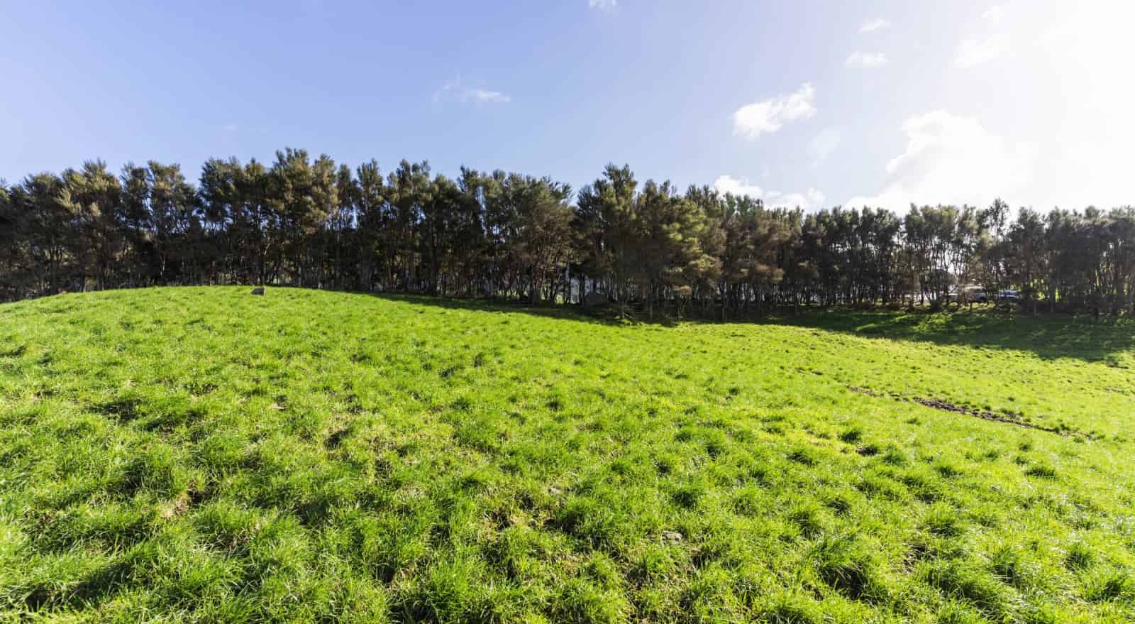 309C Wentworth Valley Road, Whangamata, ThamesCoromandel For Sale