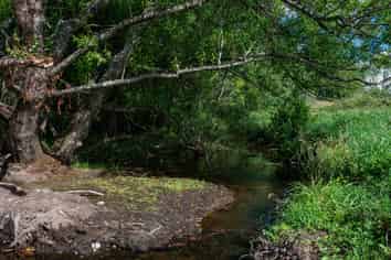 Lot 2 State Highway 4, Raetihi
