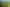 208 Livingstone Road, Te Poi