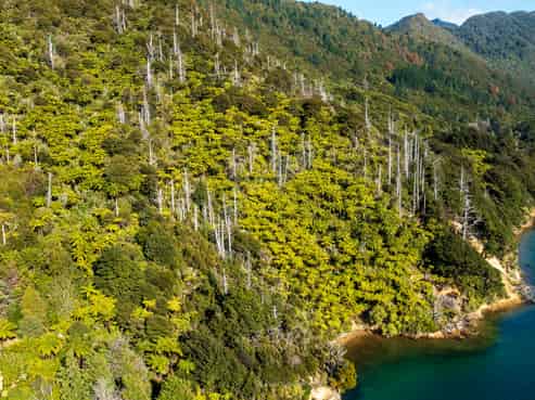 Lot 2 North West Bay, Pelorus Sounds