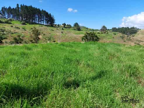 610 Bickerstaffe Road, Maungaturoto