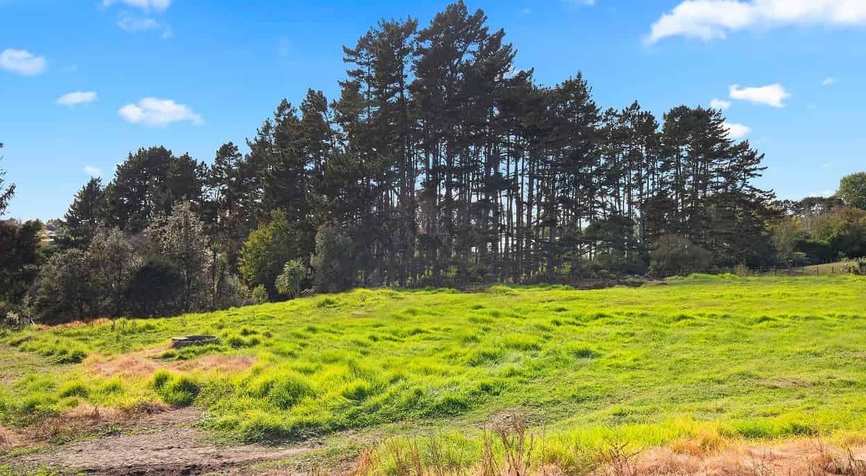 46ALot 3 Victoria Avenue, Waiuku, Franklin For Sale realestate.co.nz