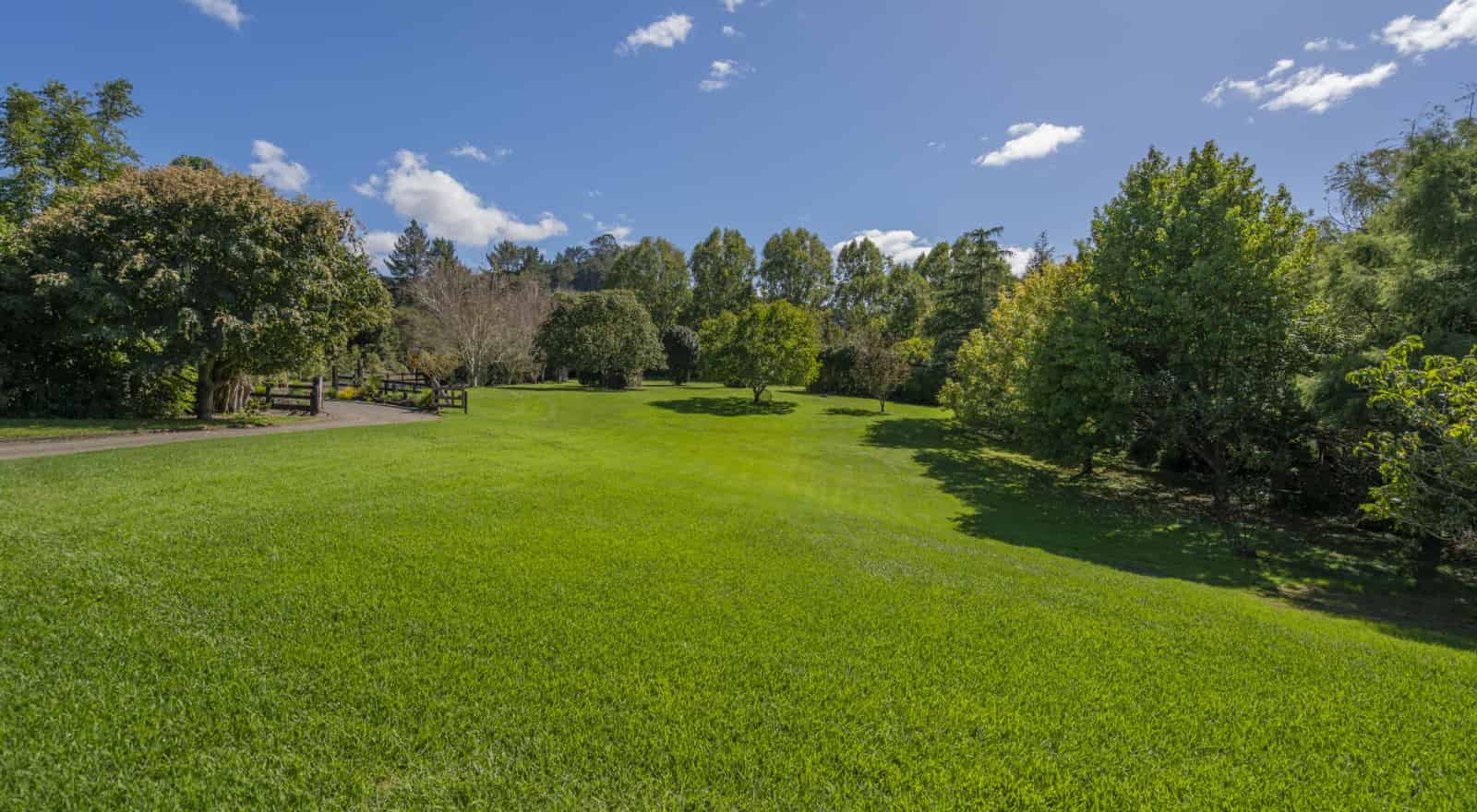 1939 The 309 Road, Whitianga, ThamesCoromandel For Sale realestate