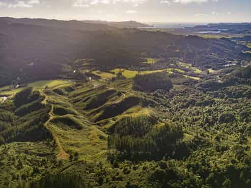 1870 The 309 Road, Whitianga