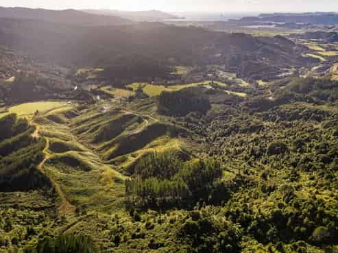 1870 The 309 Road, Whitianga