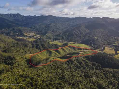 1870 The 309 Road, Whitianga