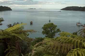 Rare FHGC Opportunity on Stewart Island