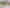 16 Mapau Road, Greenlane, Auckland City, Auckland, Greenlane
