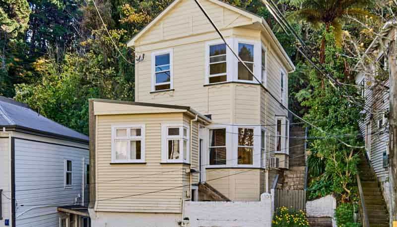 21 Adams Terrace, Aro Valley