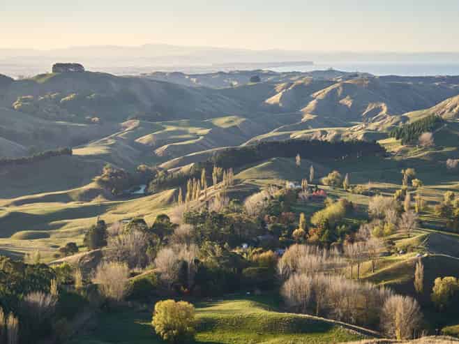 1387 Tuki Tuki Road, Havelock North