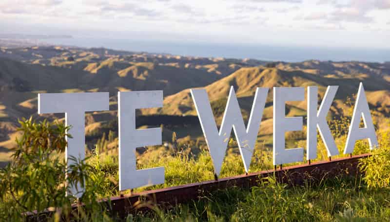 1387 Tuki Tuki Road, Havelock North