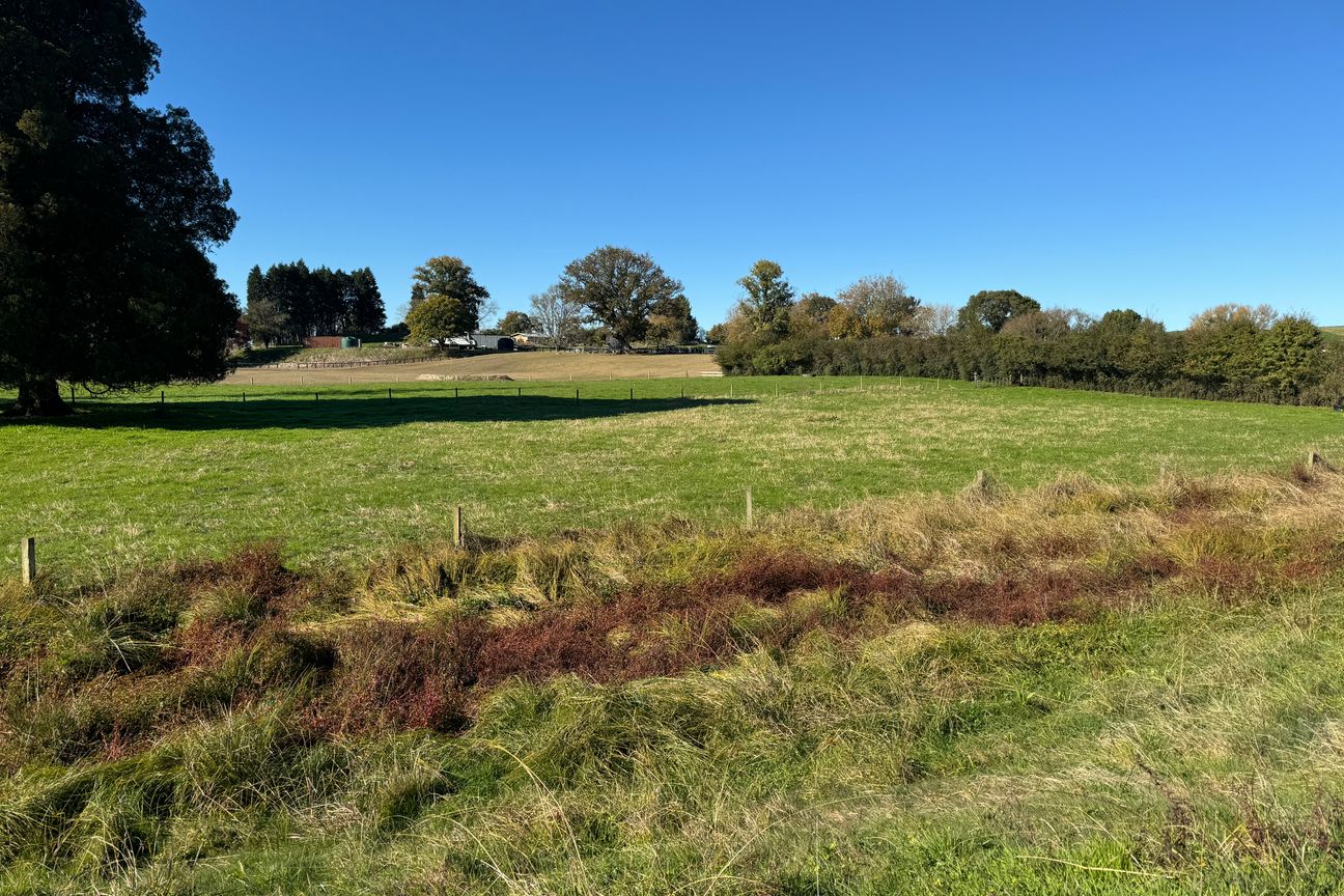 Prime Location + 8.5 Acres - Vaizdas 6
