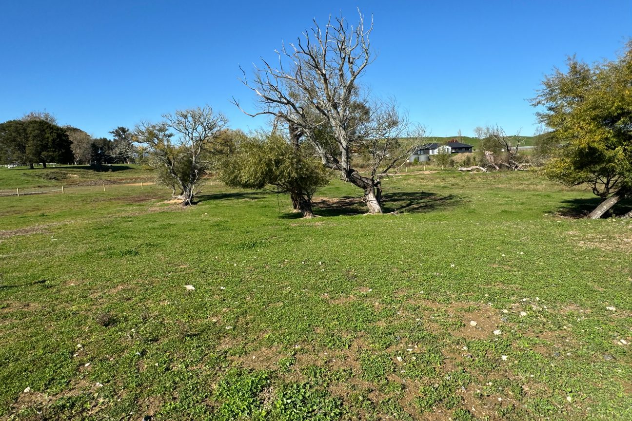 Prime Location + 8.5 Acres - Daugiau