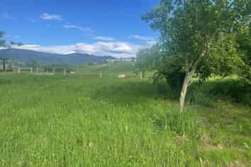 4 Cranfield Place, WAIMATE