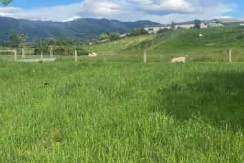 4 Cranfield Place, WAIMATE