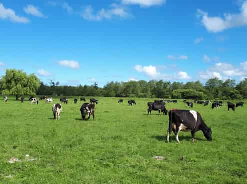 874 Tuakau Bridge-port Waikato Road, Te Kohanga