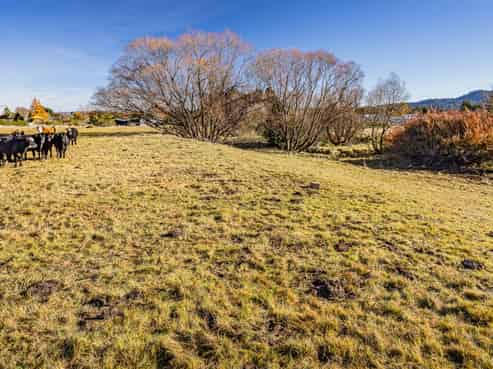 62 Arawa Street, Ohakune