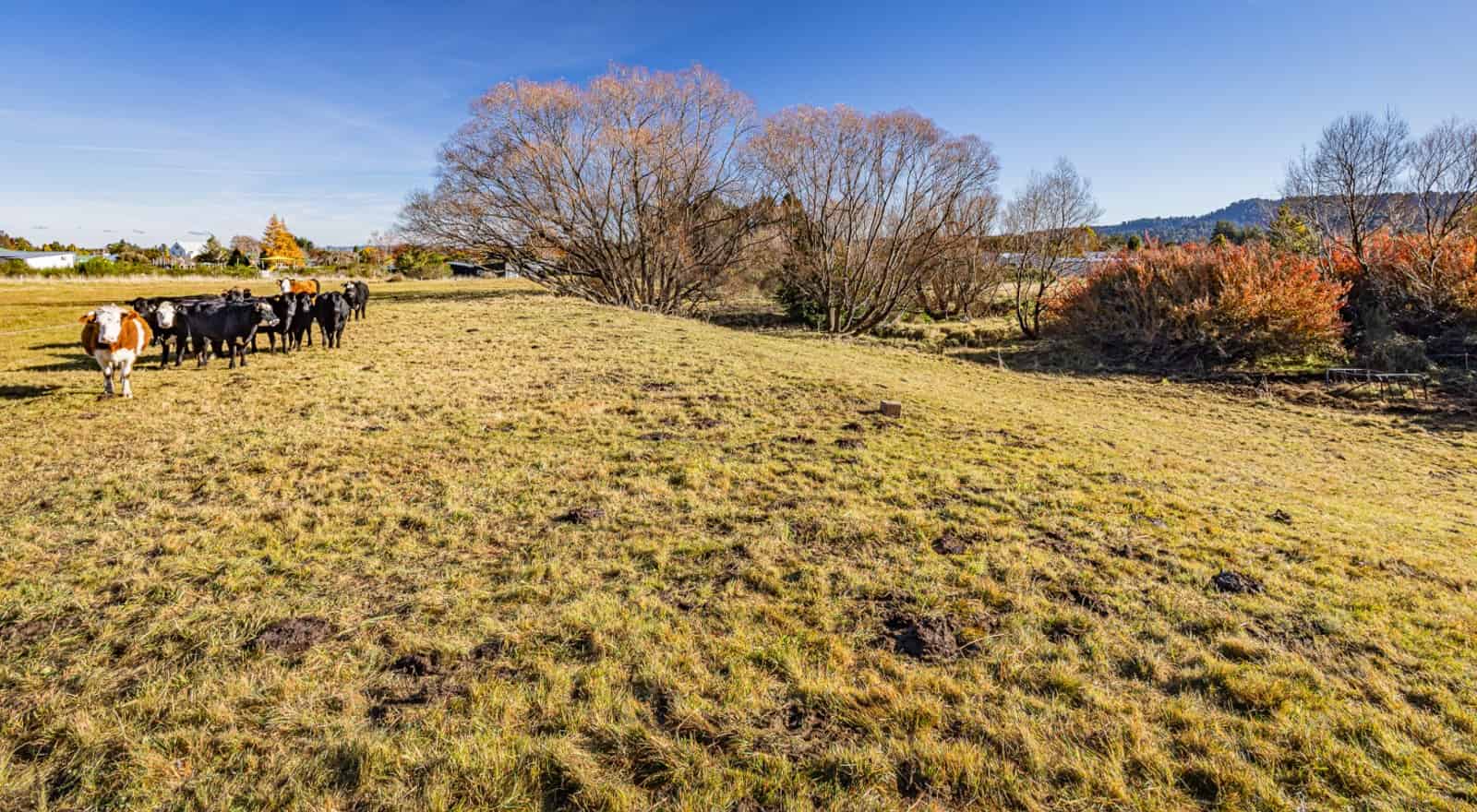 62 Arawa Street, Ohakune, Ruapehu For Sale realestate.co.nz