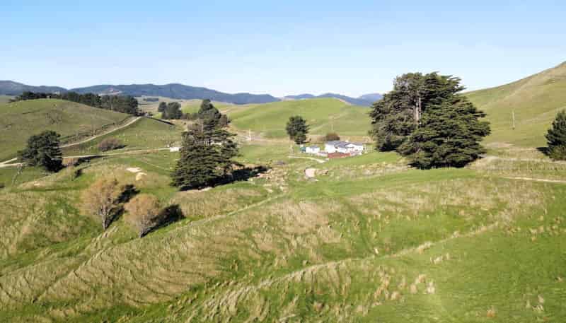147 Mangatuna Road, Dannevirke