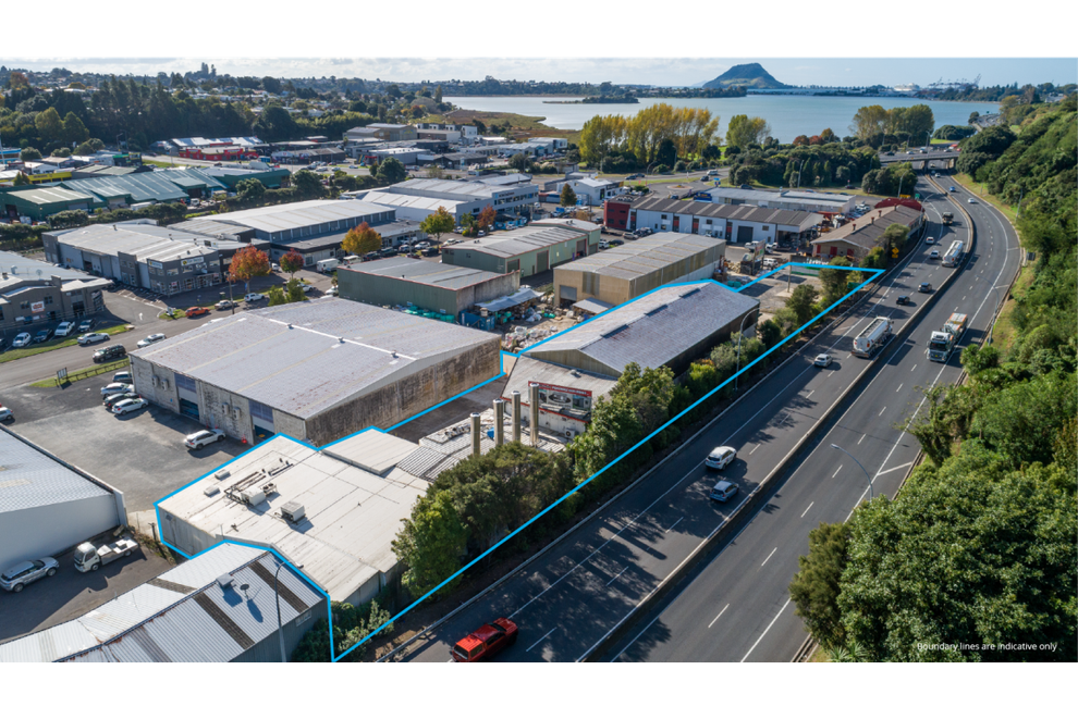 For sale 3032 Koromiko Street & 8 Erica Street, Judea realestate.co.nz