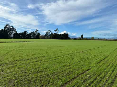 314 Campbell Road, Richmond Downs