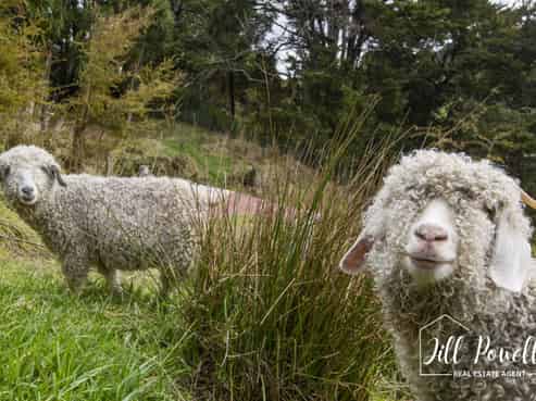 54 Paparoa Station Road, Paparoa
