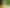 Beautiful Vineyard & Winery – Serious Price Drop!