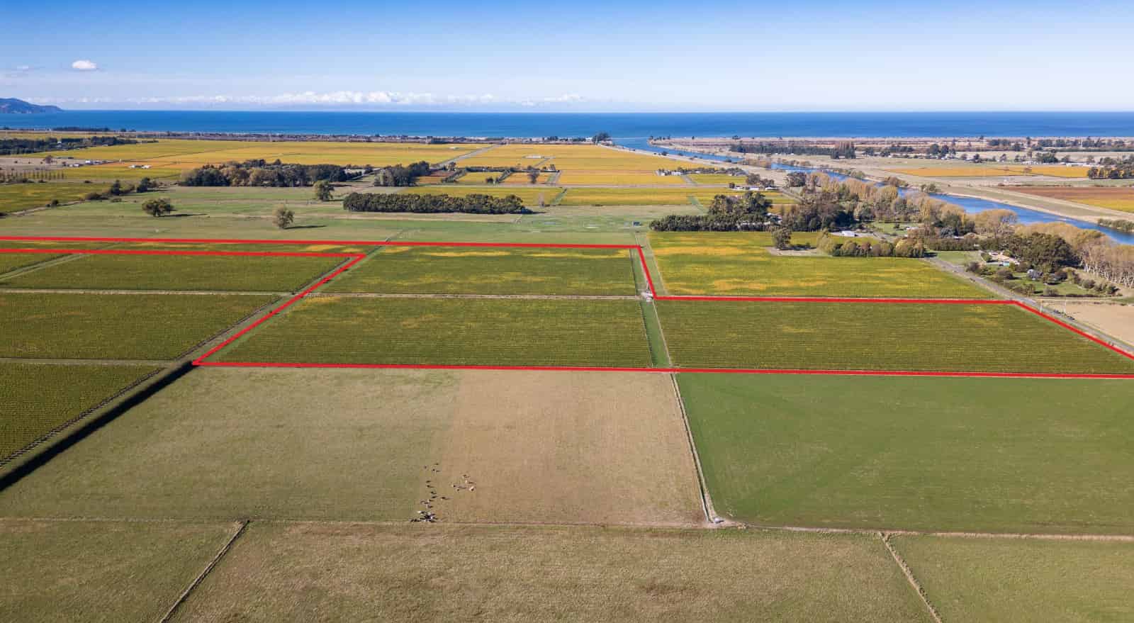 Thomas Road, Tuamarina, Marlborough For Sale realestate.co.nz