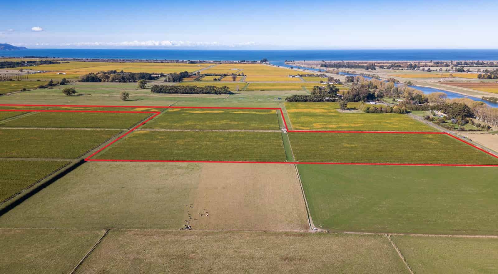 Thomas Road, Tuamarina, Marlborough For Sale realestate.co.nz
