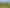 1972 Te Rahu Road, Te Awamutu