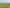 1972 Te Rahu Road, Te Awamutu