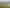 1972 Te Rahu Road, Te Awamutu