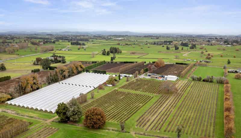 1972 Te Rahu Road, Te Awamutu