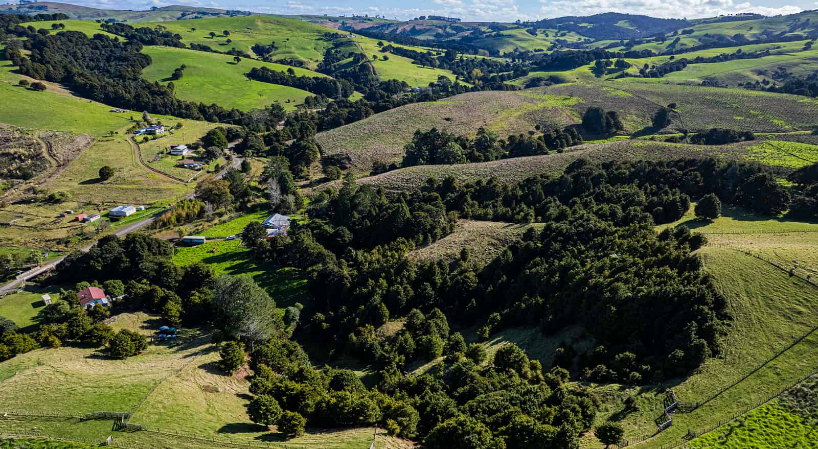 393 Katui Road, Donnellys Crossing, Kaipara For Sale realestate.co.nz