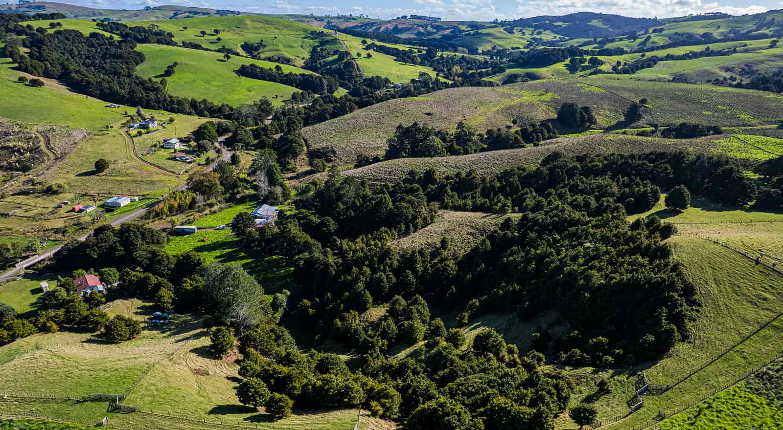 393 Katui Road, Donnellys Crossing, Kaipara For Sale realestate.co.nz