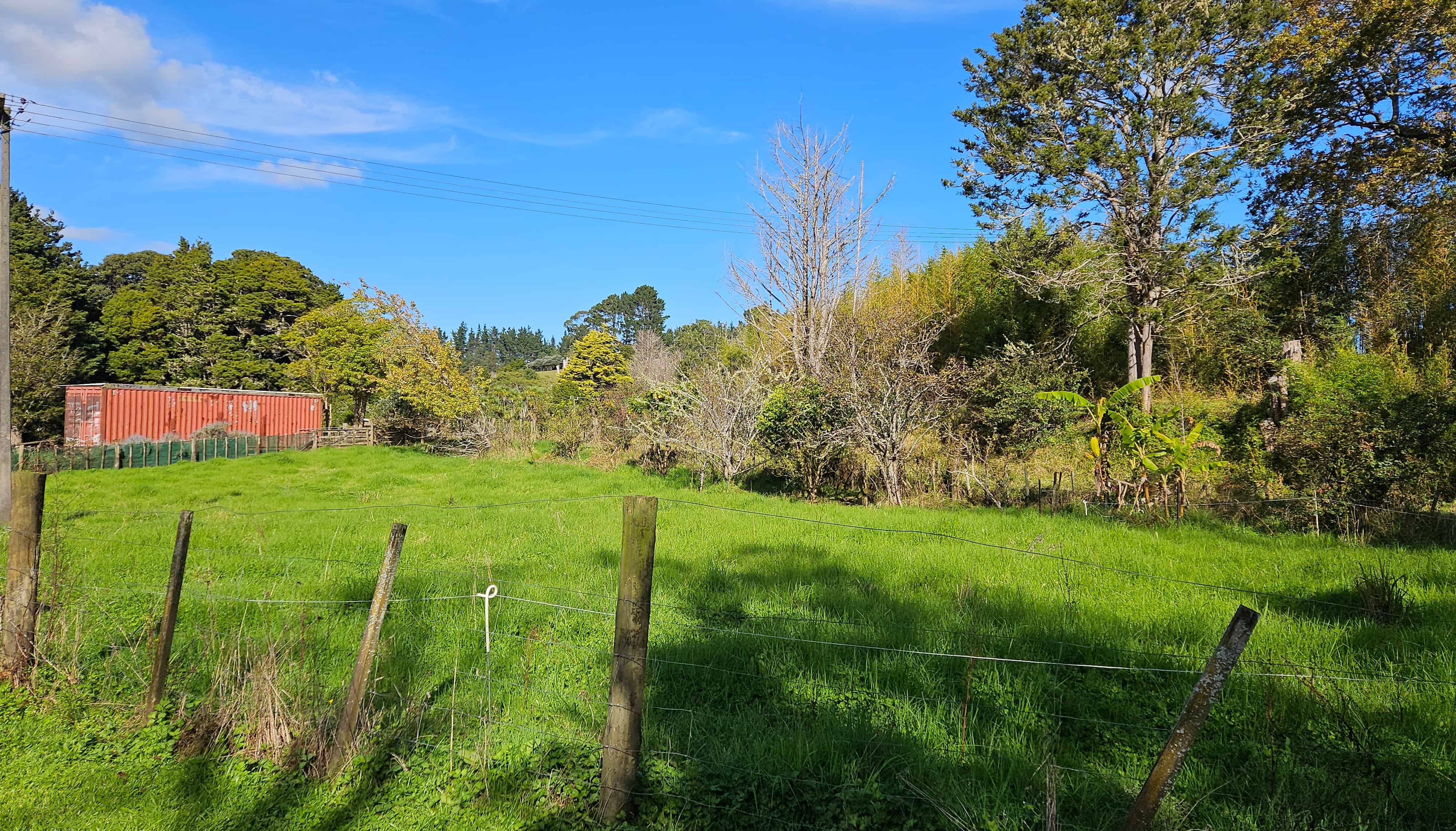393 Katui Road, Donnellys Crossing, Kaipara For Sale realestate.co.nz