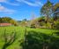 393 Katui Road, Dargaville Surrounds, Kaipara, Northland