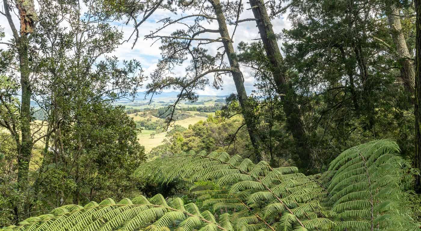 81A Waipa Heights Road, Ngaruawahia, Waikato For Sale realestate.co.nz