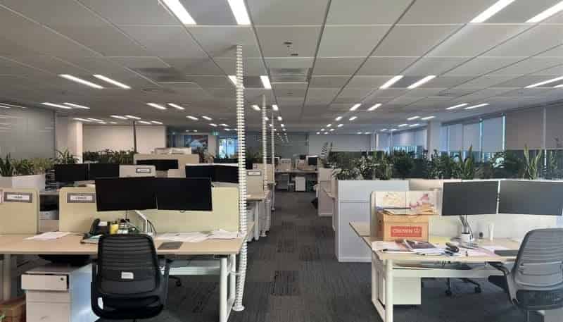 123 Carlton Gore Road, Newmarket