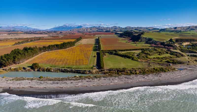 102 Renners Road, Lower Dashwood