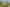 2622 River Road, Tuakau