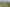 2622 River Road, Tuakau