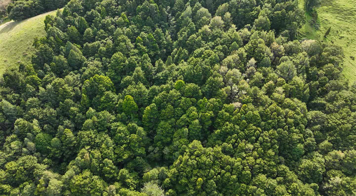 508 Wairere Road, Maungaturoto, Kaipara For Sale realestate.co.nz